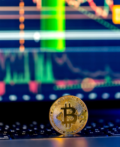 Team von Aurenfeld bei der Marktanalyse